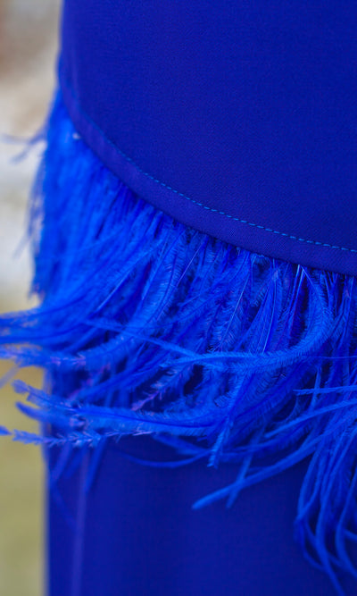 Conjunto Halcón